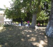 isola (15)