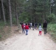 isola (19)