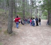 isola (20)