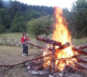 isola (30)